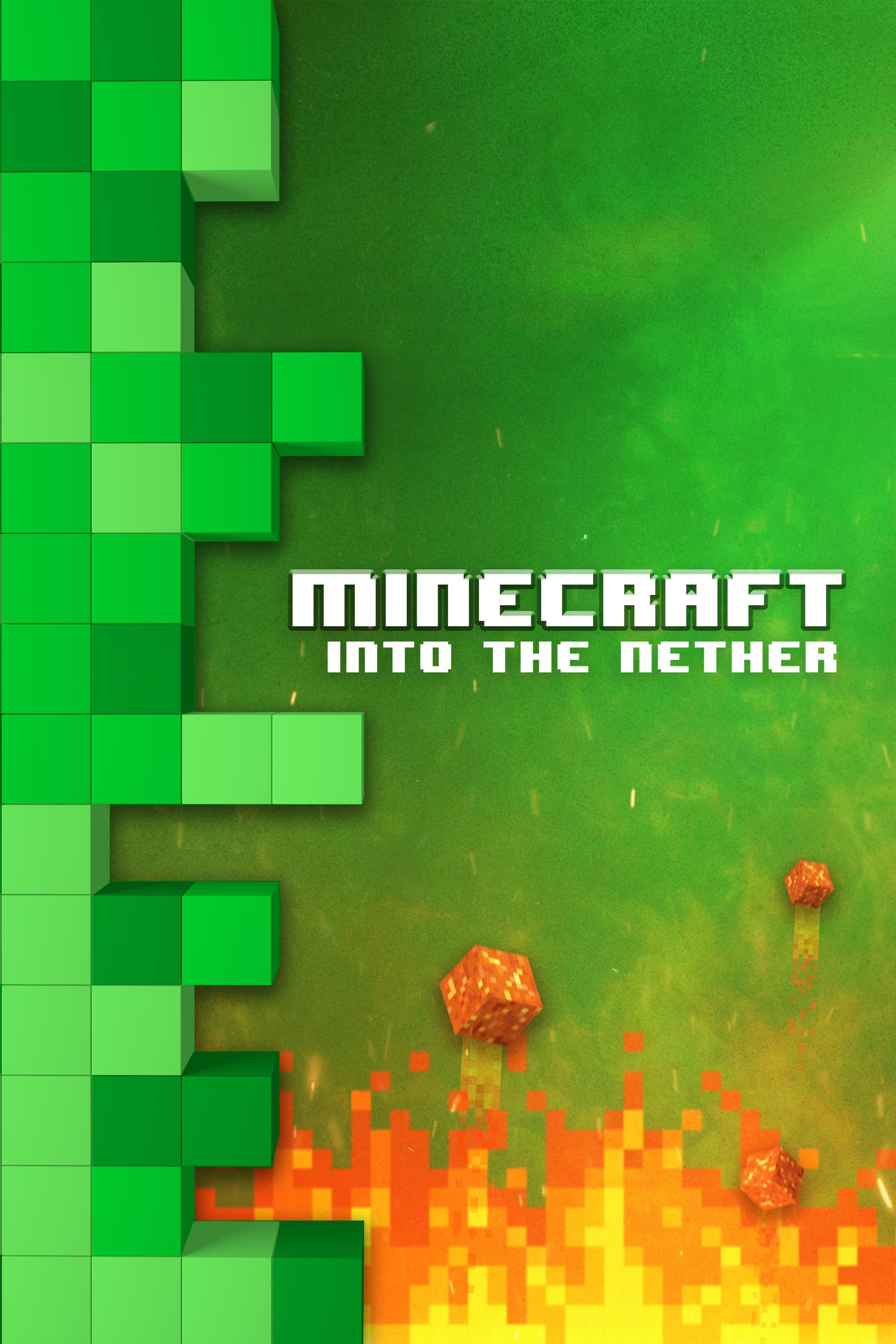    Minecraft: Into the Nether